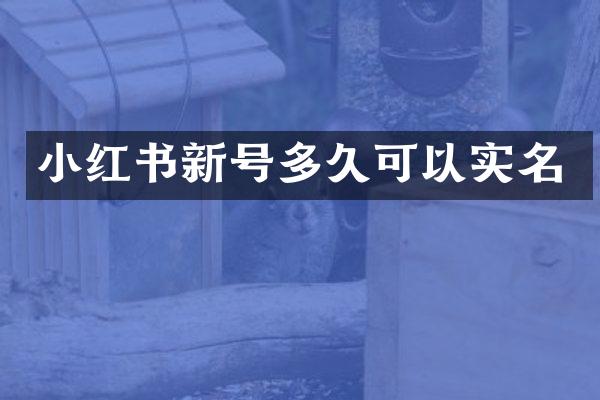 小红书新号多久可以实名