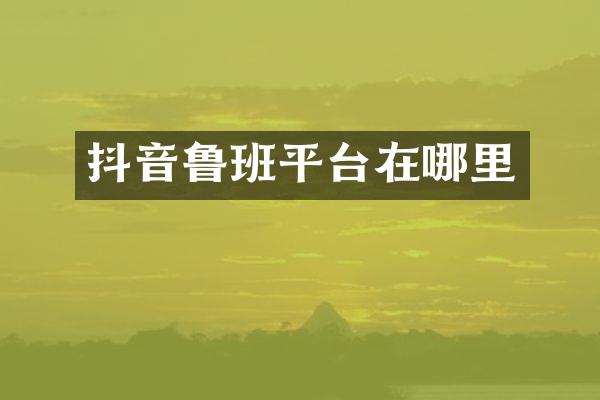 抖音鲁班平台在哪里