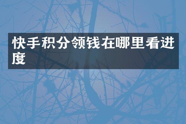 快手积分领钱在哪里看进度