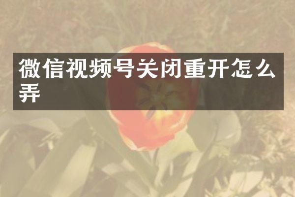 微信视频号关闭重开怎么弄