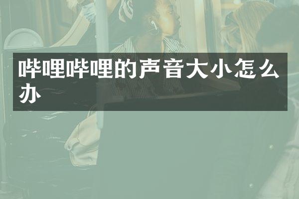 哔哩哔哩的声音大小怎么办