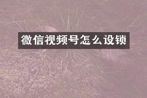 微信视频号怎么设锁