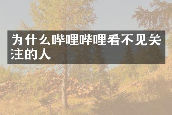 为什么哔哩哔哩看不见关注的人