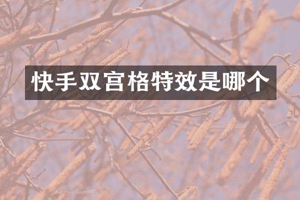 快手双宫格特效是哪个