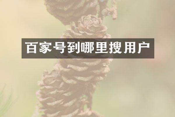 百家号到哪里搜用户