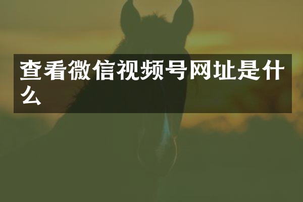 查看微信视频号网址是什么