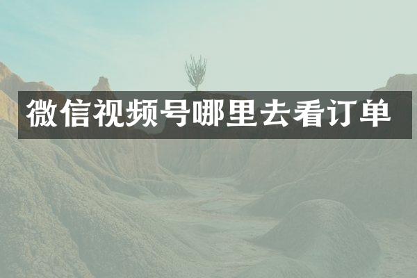微信视频号哪里去看订单