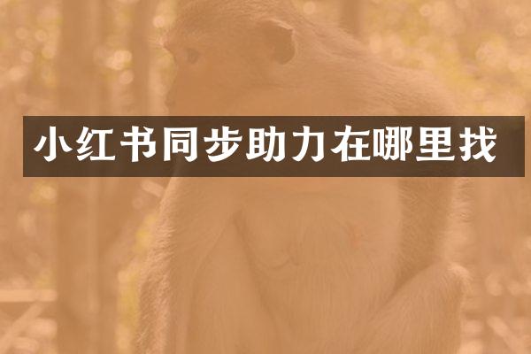 小红书同步助力在哪里找