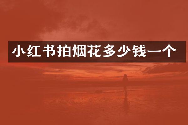 小红书拍多少钱一个