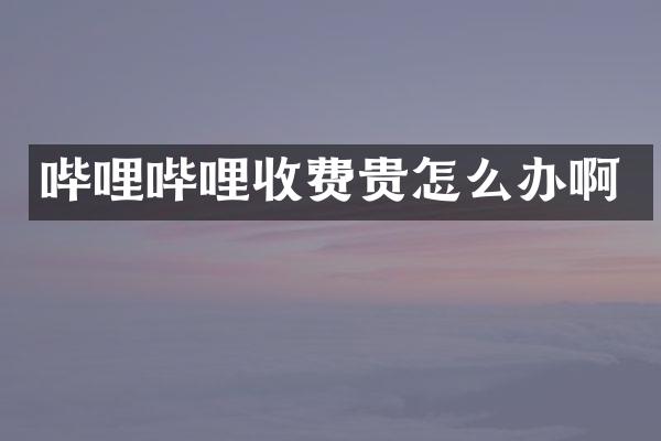 哔哩哔哩收费贵怎么办啊