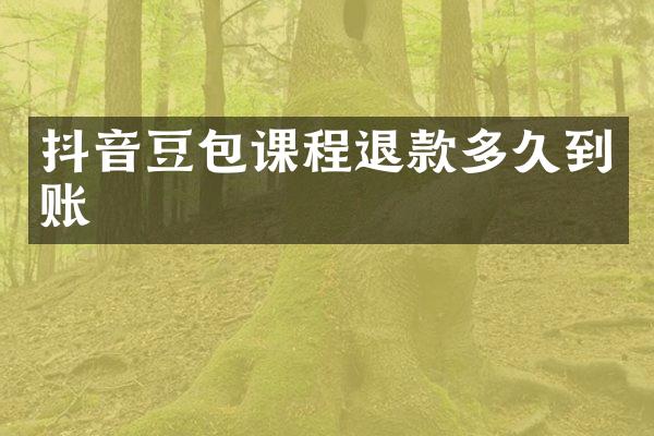 抖音豆包课程退款多久到账