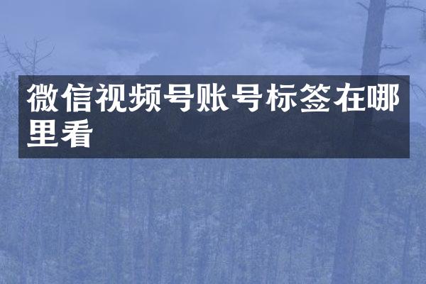 微信视频号账号标签在哪里看