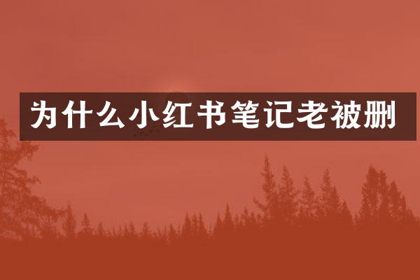 为什么小红书笔记老被删
