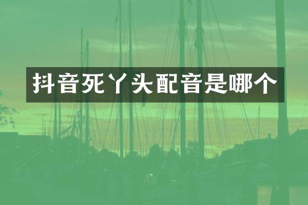 抖音死丫头配音是哪个