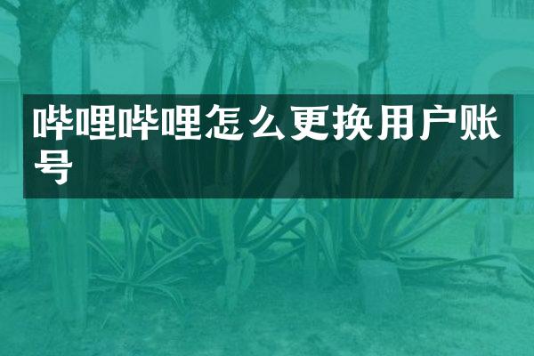 哔哩哔哩怎么更换用户账号