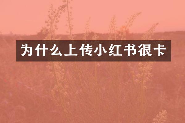 为什么上传小红书很卡