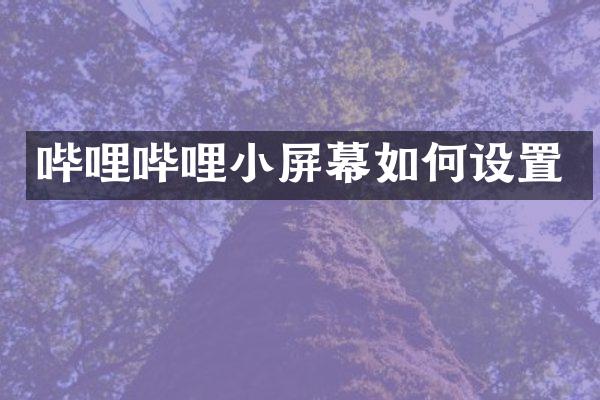 哔哩哔哩小屏幕如何设置