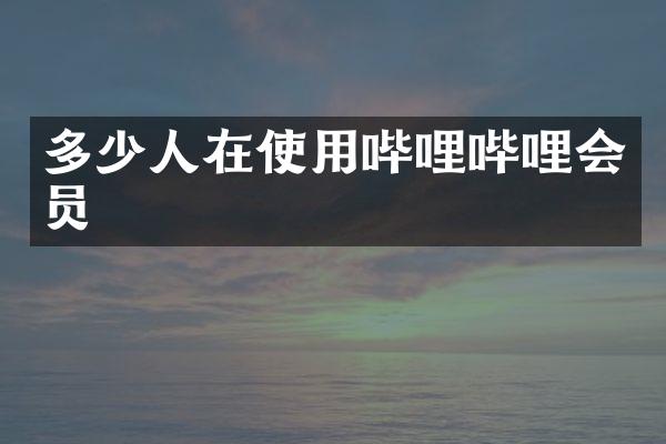 多少人在使用哔哩哔哩会员