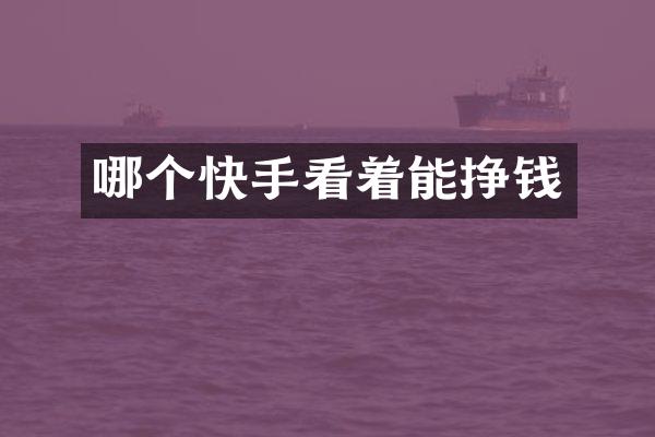 哪个快手看着能挣钱