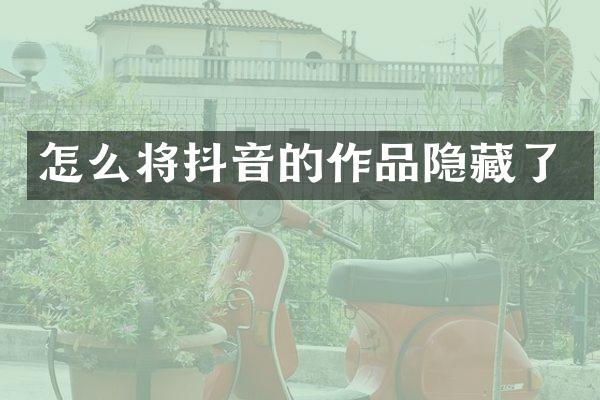 怎么将抖音的作品隐藏了