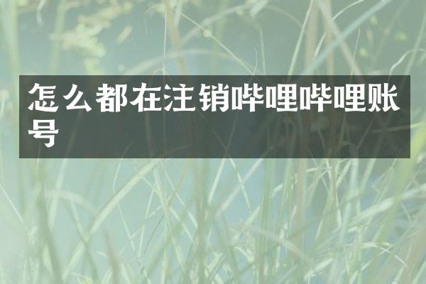 怎么都在注销哔哩哔哩账号