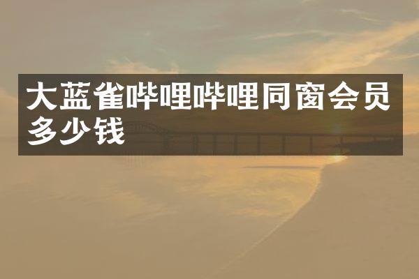 大蓝雀哔哩哔哩同窗会员多少钱