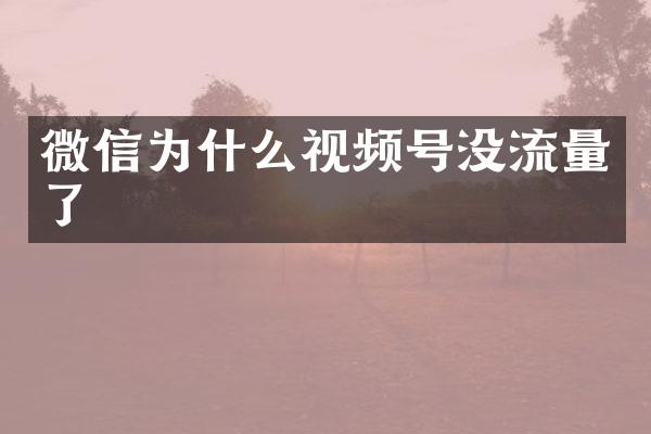 微信为什么视频号没流量了