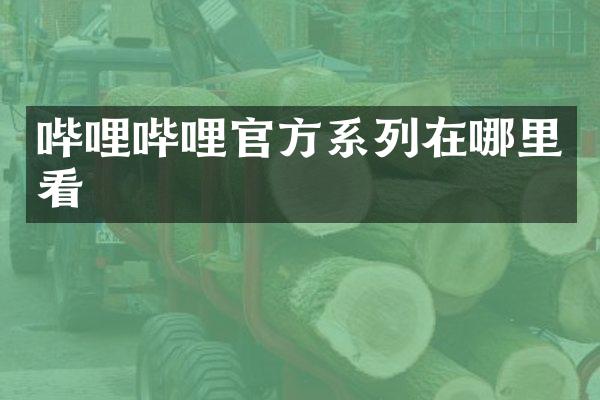 哔哩哔哩官方系列在哪里看