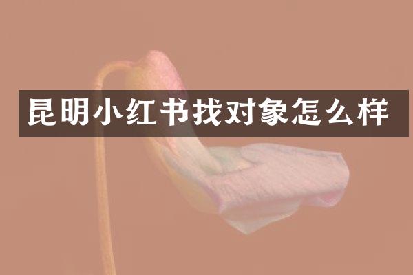 昆明小红书找对象怎么样