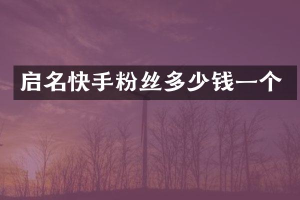 启名快手粉丝多少钱一个