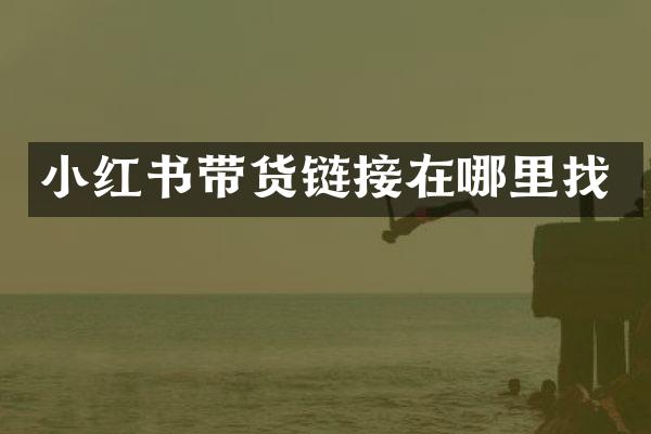 小红书带货链接在哪里找