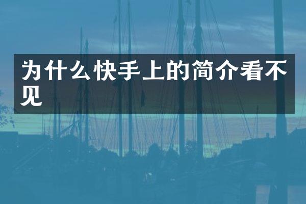 为什么快手上的简介看不见