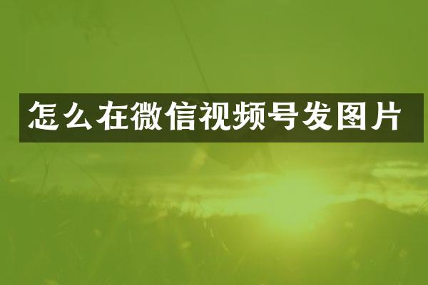 怎么在微信视频号发图片