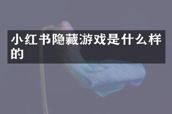 小红书隐藏游戏是什么样的