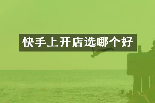 快手上开店选哪个好