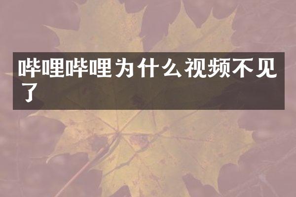 哔哩哔哩为什么视频不见了