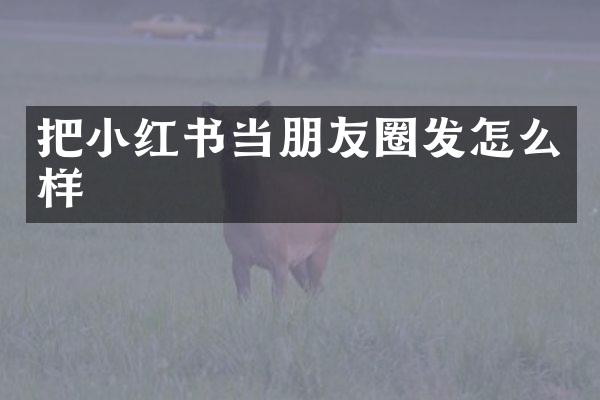 把小红书当朋友圈发怎么样