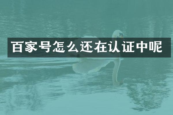 百家号怎么还在认证中呢