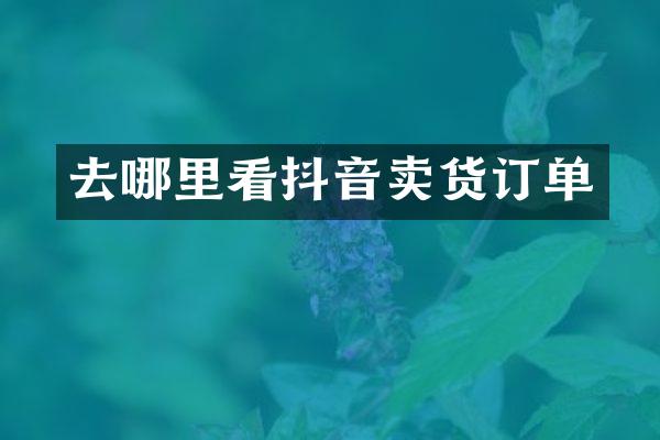 去哪里看抖音卖货订单