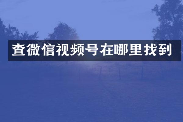 查微信视频号在哪里找到
