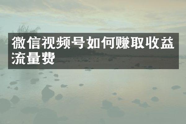 微信视频号如何赚取收益流量费