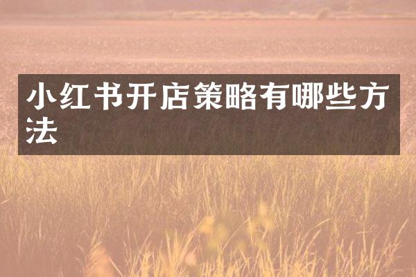 小红书开店策略有哪些方法