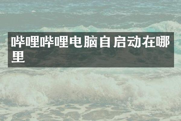 哔哩哔哩电脑自启动在哪里