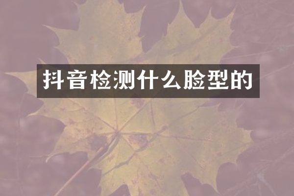 抖音检测什么脸型的