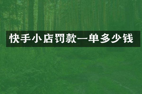 快手小店罚款一单多少钱