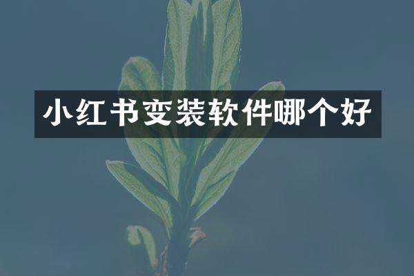 小红书变装软件哪个好