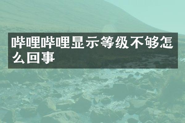 哔哩哔哩显示等级不够怎么回事