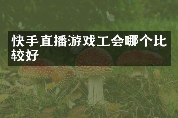 快手直播游戏工会哪个比较好