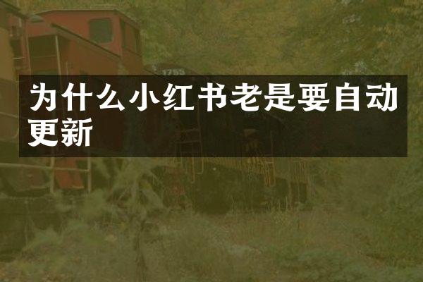 为什么小红书老是要自动更新