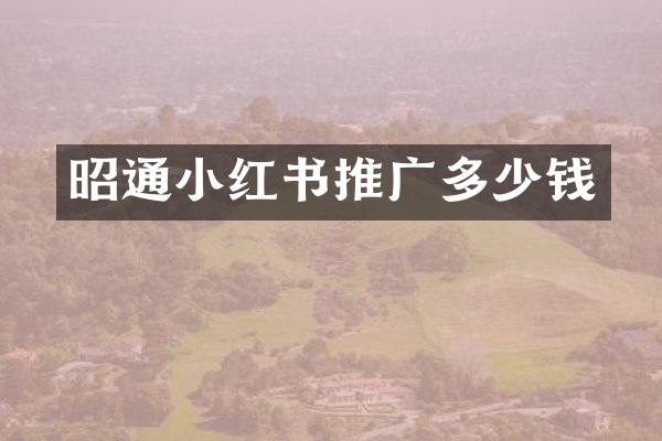 昭通小红书推广多少钱